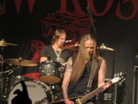 The New Roses 2023 02