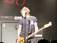 The New Roses 2023 07