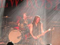 The New Roses 2023 10