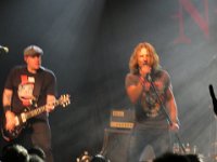 The New Roses 2023 12